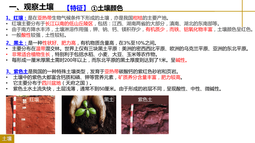 2.6土壤的主要形成因素课件（共27张PPT）