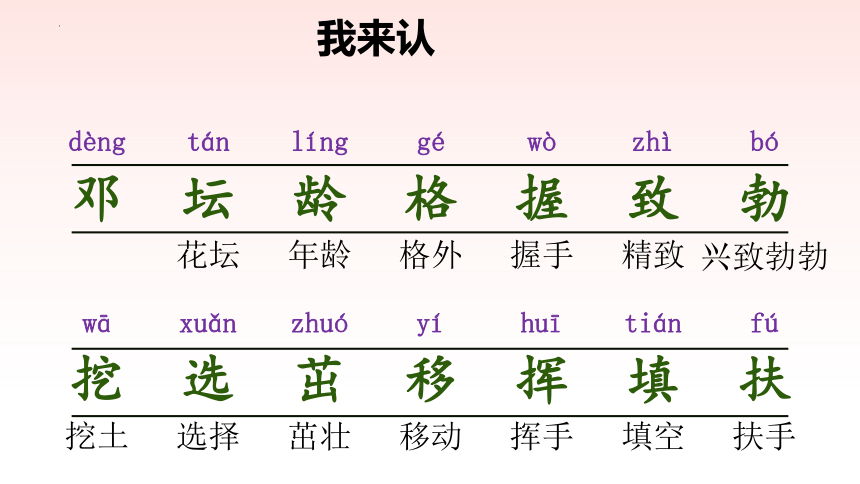 4邓小平爷爷植树（课件）(共22张PPT)