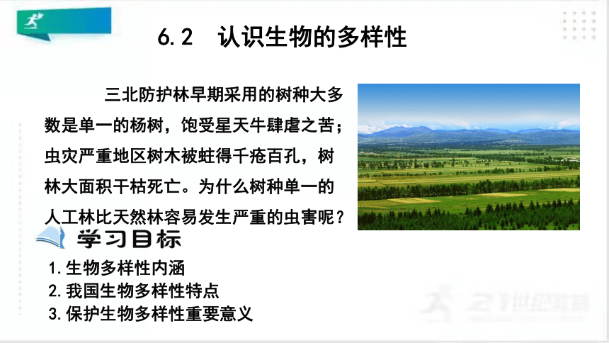 6.2认识生物的多样性（课件）（共22张PPT）