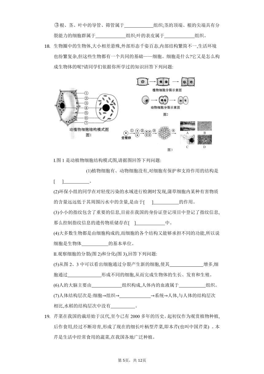 第4章 生物体的结构层次--2022-2023学年北师大版生物七年级上册单元强化练习（word版 含解析）