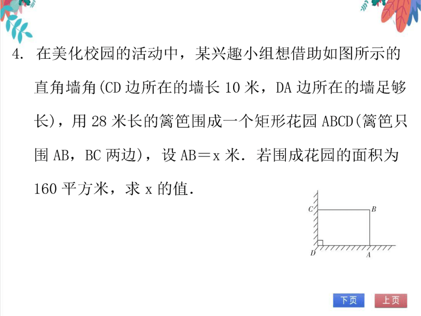 【北师大版】数学九年级（上）2.3.3 利用一元二次方程解决面积问题 习题课件