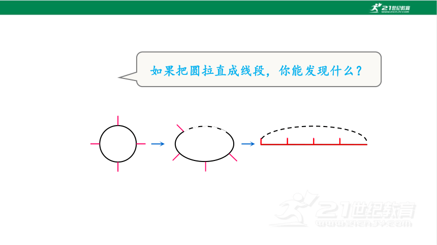 新人教版数学五年级上册7.3.植树问题（3）课件(23张PPT)