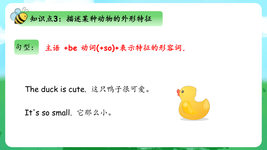 Unit 3 At the Zoo 单元复习(四)-语法+典型例题（共33张PPT）