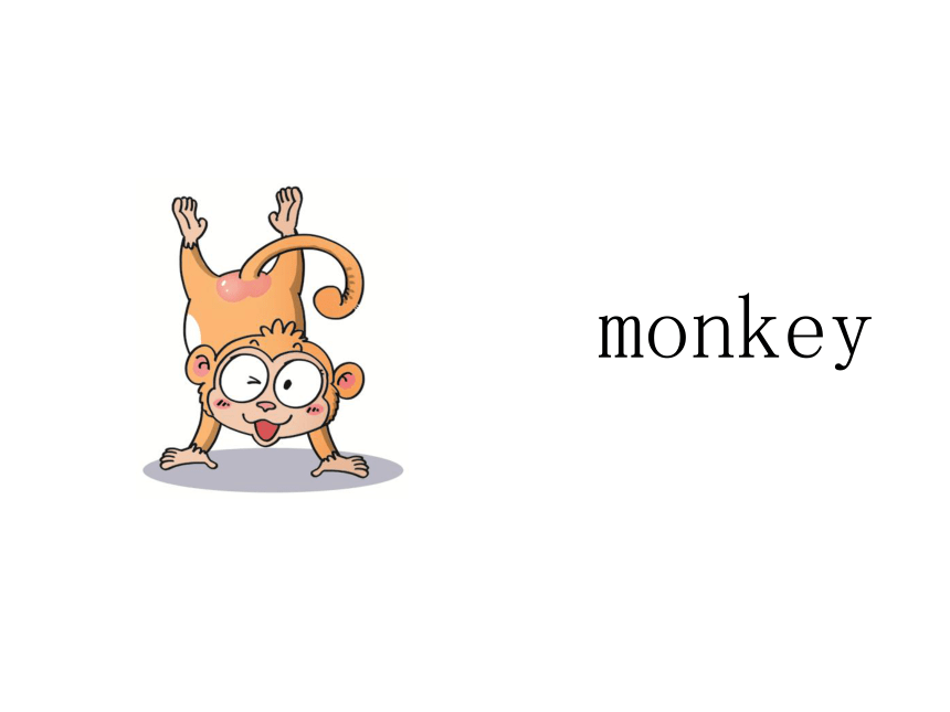 Module 2 Unit 1 They're monkeys 课件(共15张PPT)