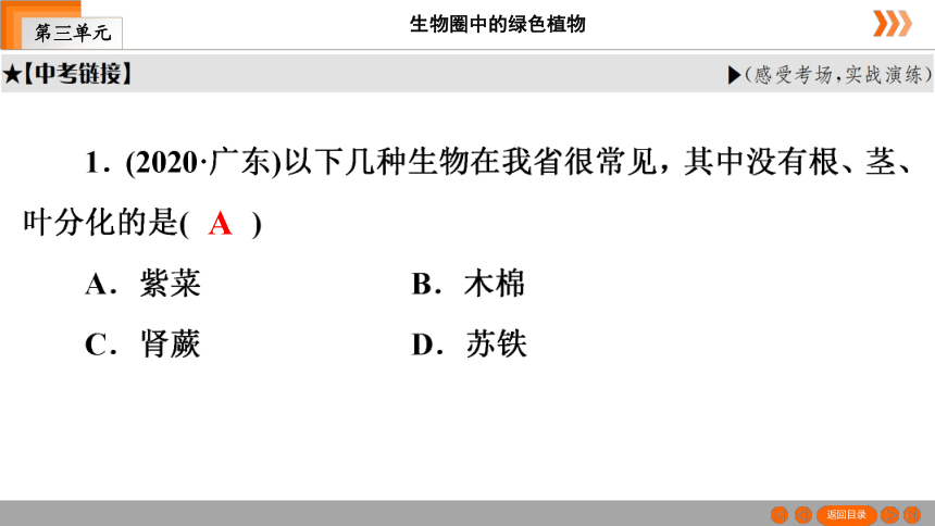 人教版生物七年级上册  第3单元　第1章　生物圈中有哪些绿色植物本章知识网络 课件（共19张PPT）