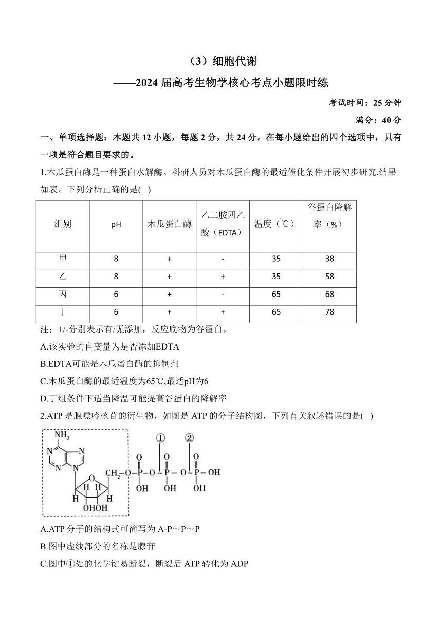 2024 届高考生物学核心考点小题限时练：细胞代谢（含解析）