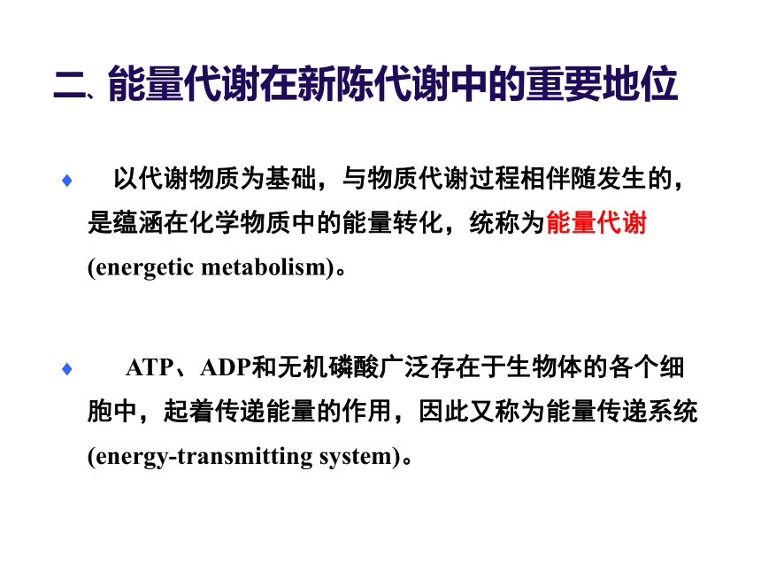 生物竞赛代谢总论 (22张PPT）