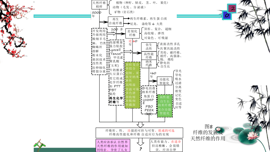 绪论 课件(共20张PPT)《纺织材料学（第2版）》同步教学（纺织出版社）