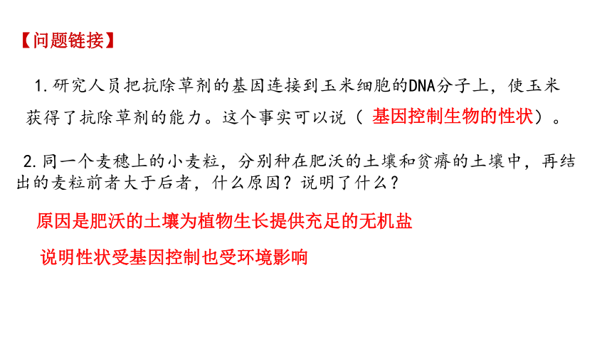 生物的遗传和变异 复习课件