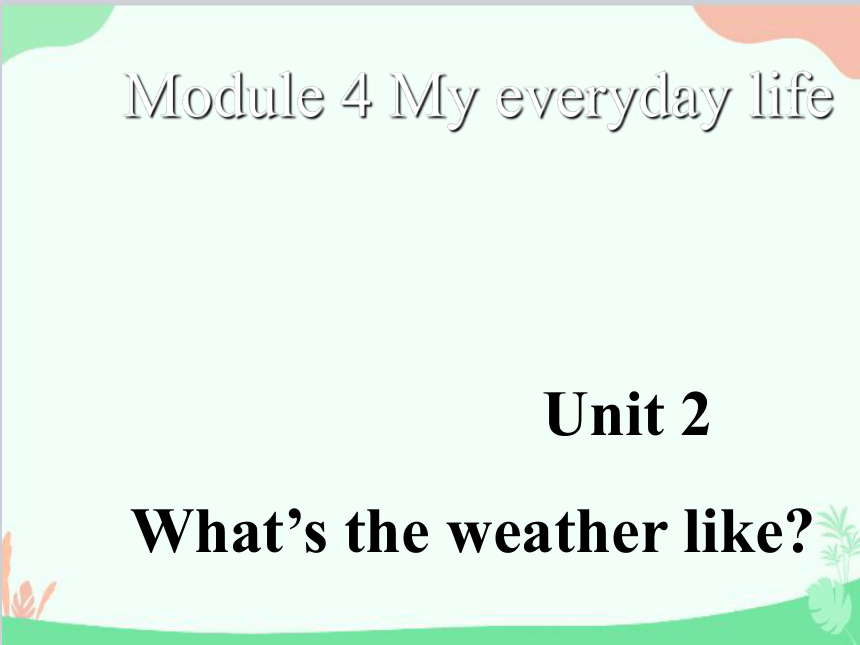 Starter Module 4 My everyday life Unit 2 What's the weather like？课件(共14张PPT)