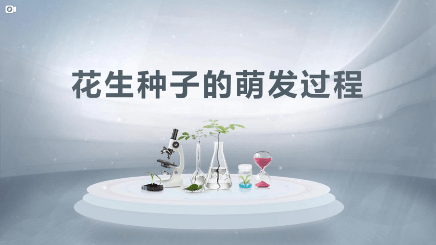 第三单元 第二章 被子植物的一生-【复习旧知】2022-2023学年七年级生物上册复习课件（人教版）(共50张PPT)