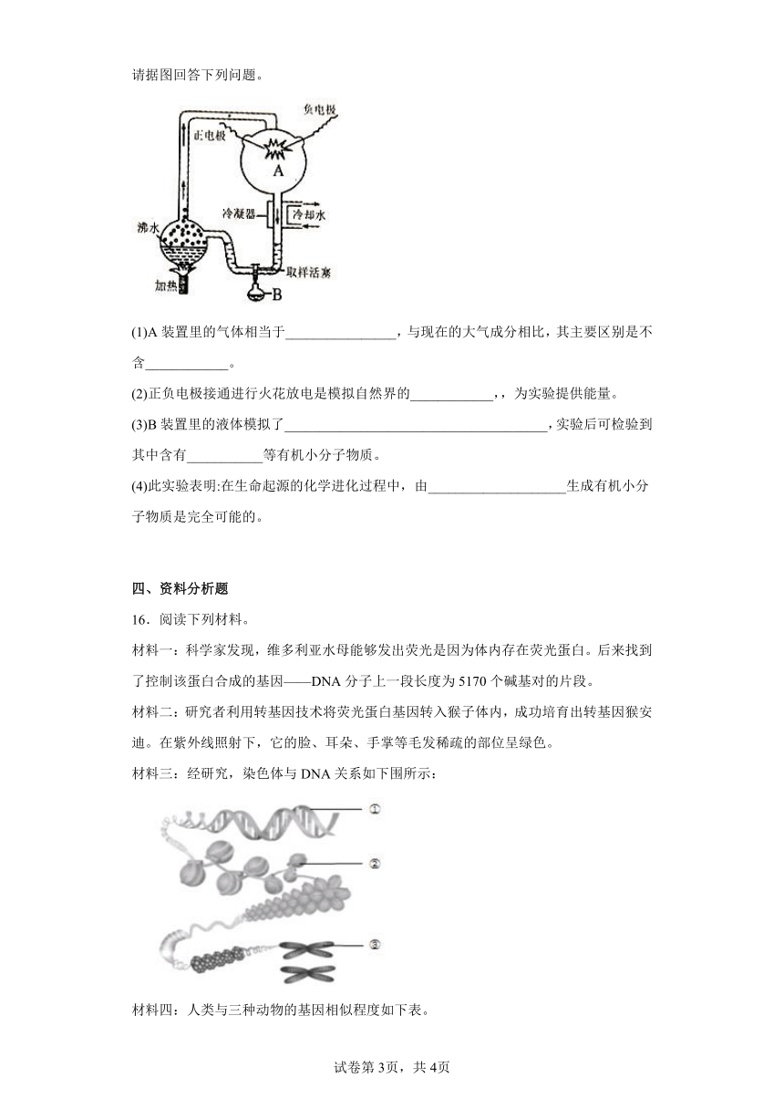 7.21.3人类的起源与进化 同步练习 （含解析）北师大版生物八年级下册