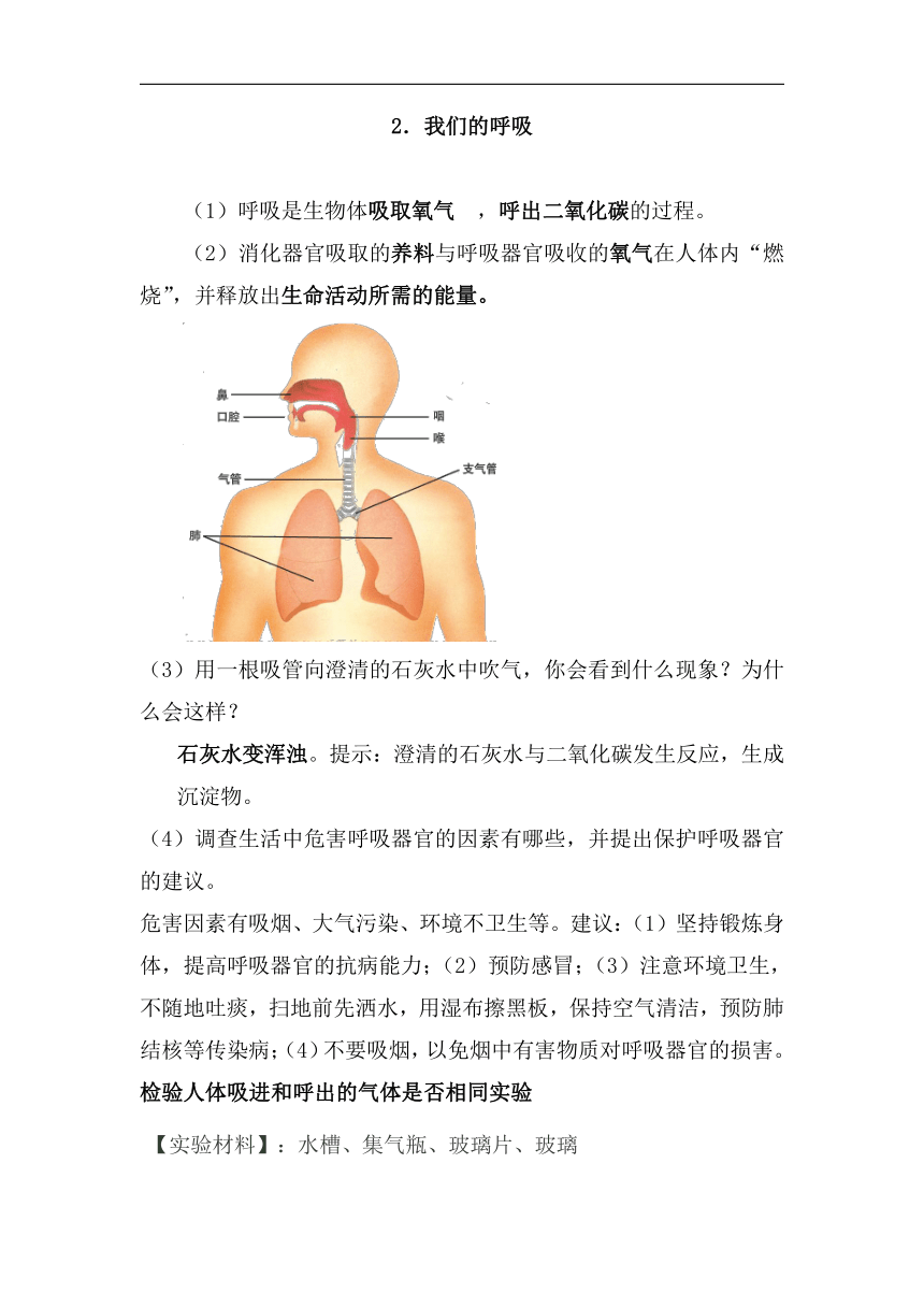 青岛版（六三学制2001）科学 五年级下册 第一单元 人体内部的秘密 知识梳理