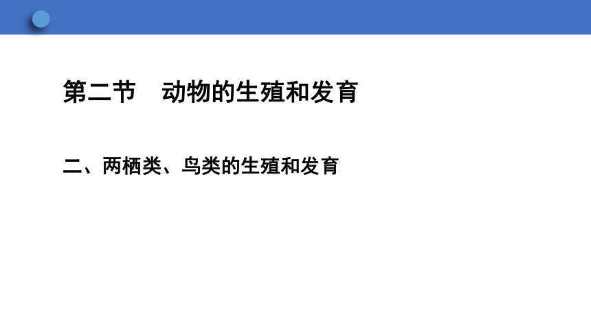 6.1.2 动物的生殖和发育 第2课时课件(共20张PPT)2023-2024学年初中生物冀少版八年级下册