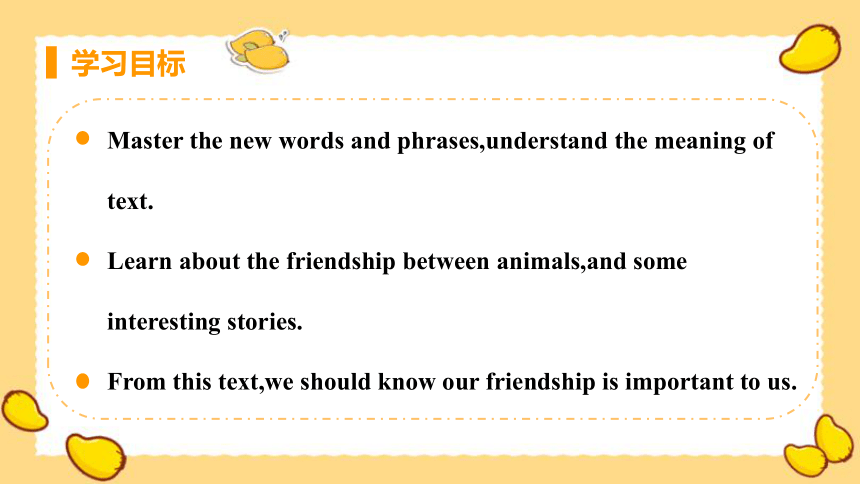 Lesson 18 Friendship Between Animals-(共25张PPT)初中英语 八年级下册 冀教版 同步课件