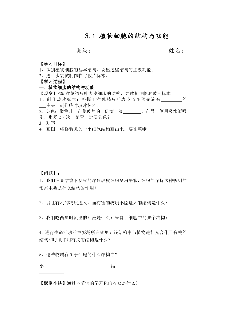 苏教版生物七年级上册3.1 植物细胞的结构与功能导学案 （无答案）