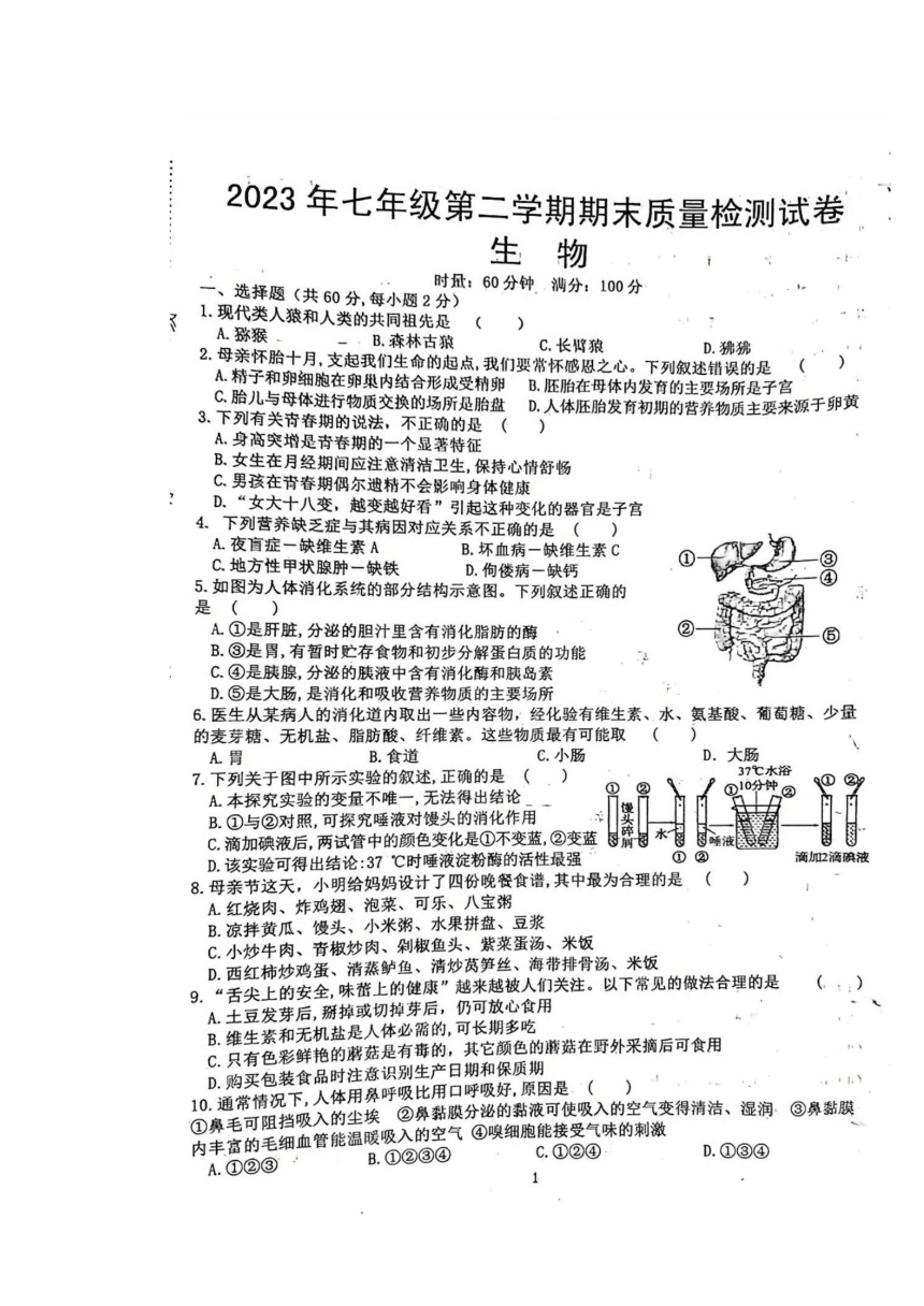 湖南省娄底市双峰县2022-2023学年七年级下学期7月期末生物试题（图片版含答案）