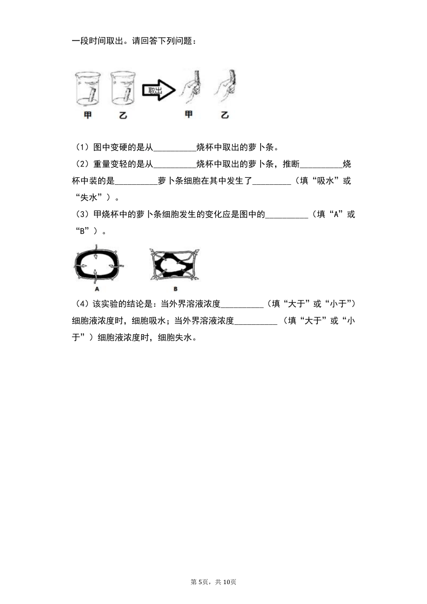 3.5.3吸收作用同步练习 （word版含解析）