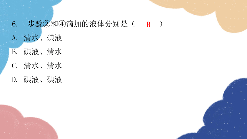 人教版生物七年级上册 第二单元过关训练课件（共46张PPT）