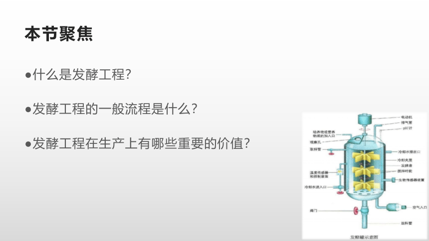 2020-2021学年人教版（2019）高二生物选择性必修三1.3 发酵工程及其应用 课件 （共32张ppt）