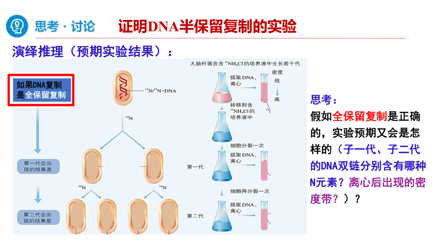 3.3  DNA的复制课件(共33张PPT2份视频)-人教版必修2