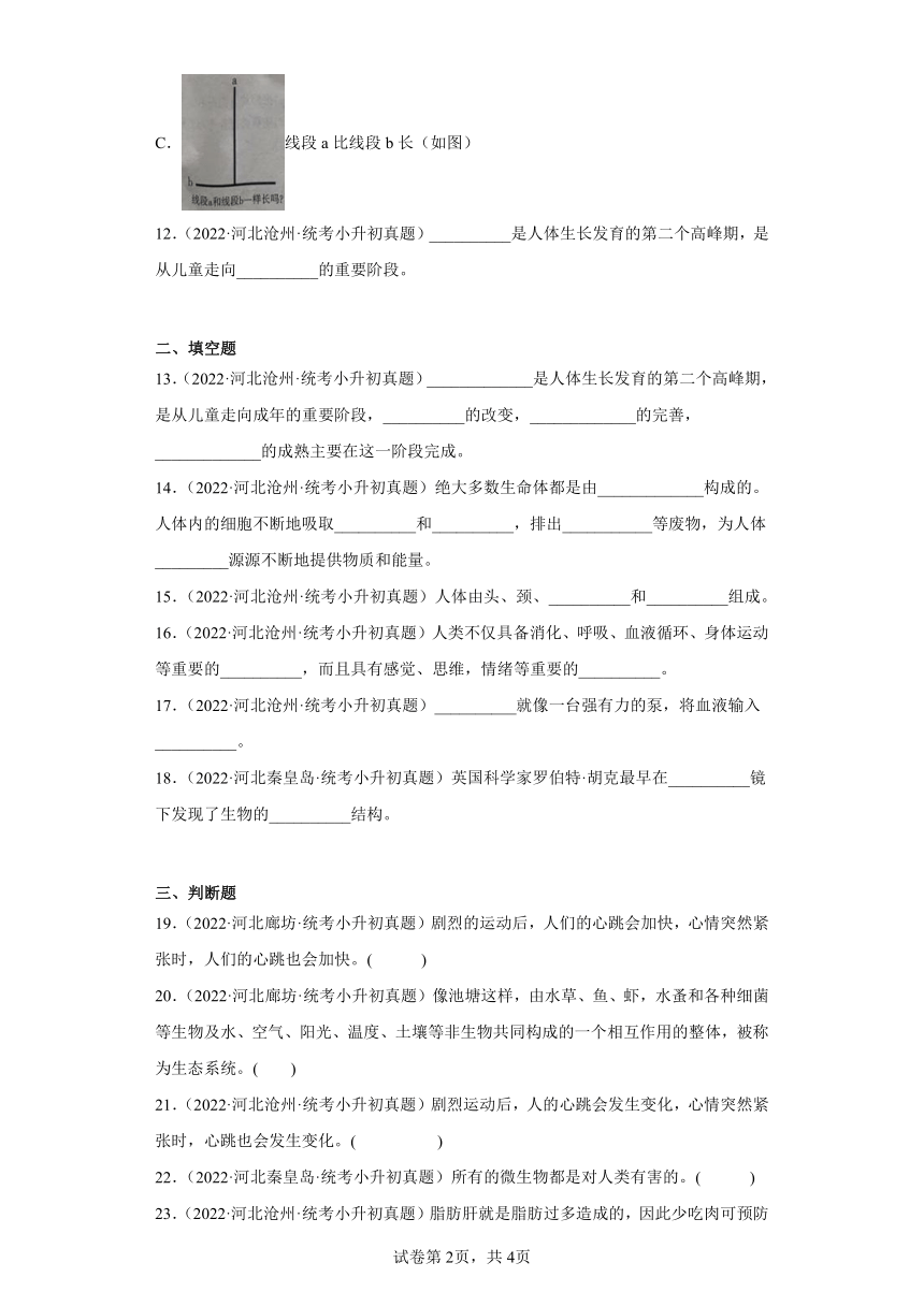 小升初知识点分类-04生命科学（试题）（2）-六年级下册科学通用版（含解析）