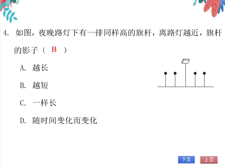 【北师大版】数学九（上）第5章 投影与视图 期末复习学案（课件版）