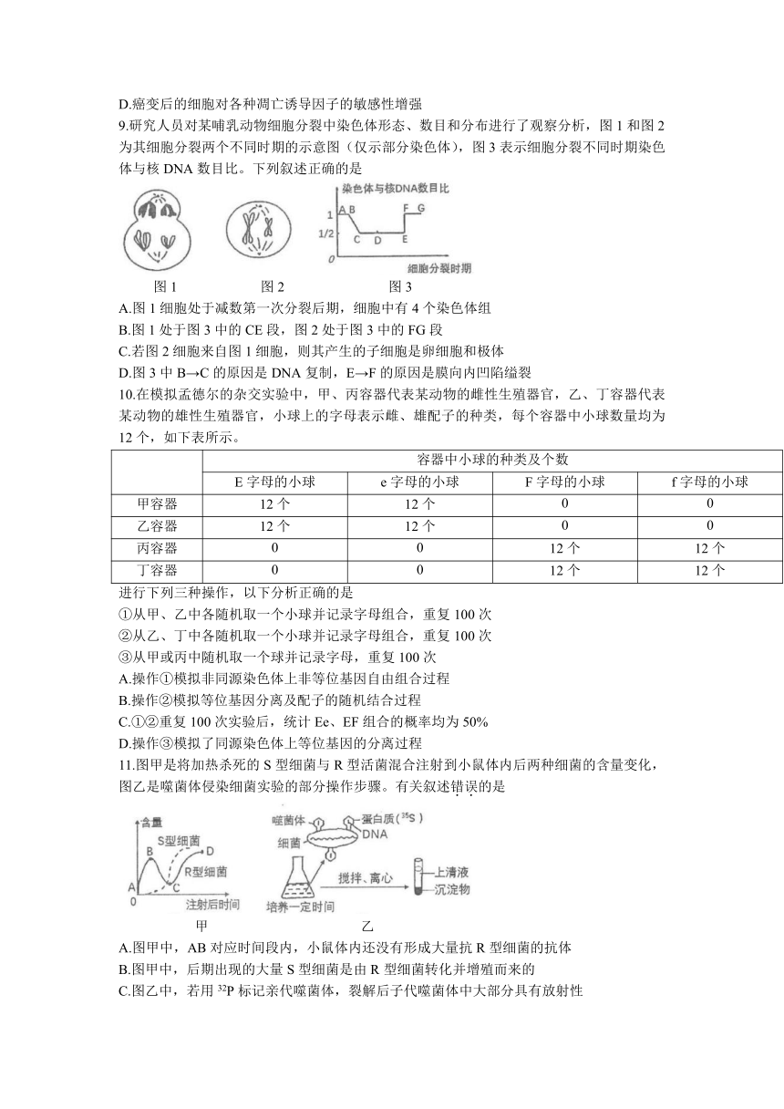 天津市2021-2022学年高三上学期期中生物试题（word版带答案）