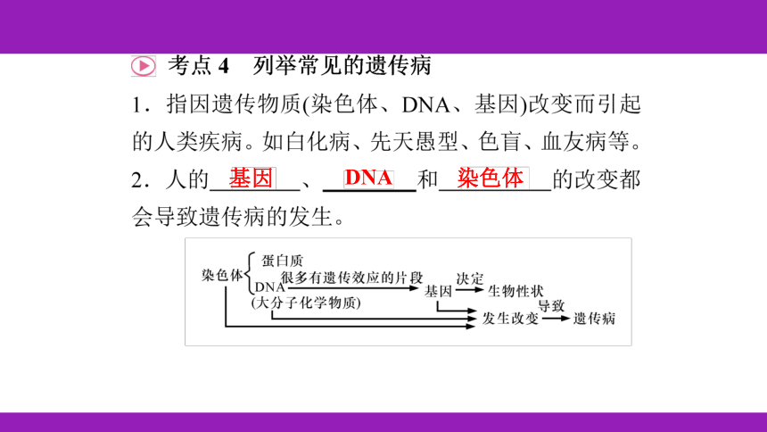 2023浙江中考一轮复习 第10课时 遗传与进化（课件 50张ppt）