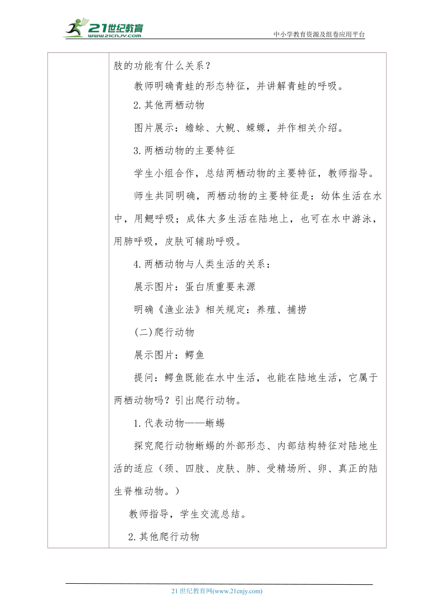 人教版生物八年级上册  5.1.5两栖动物和爬行动物 教案