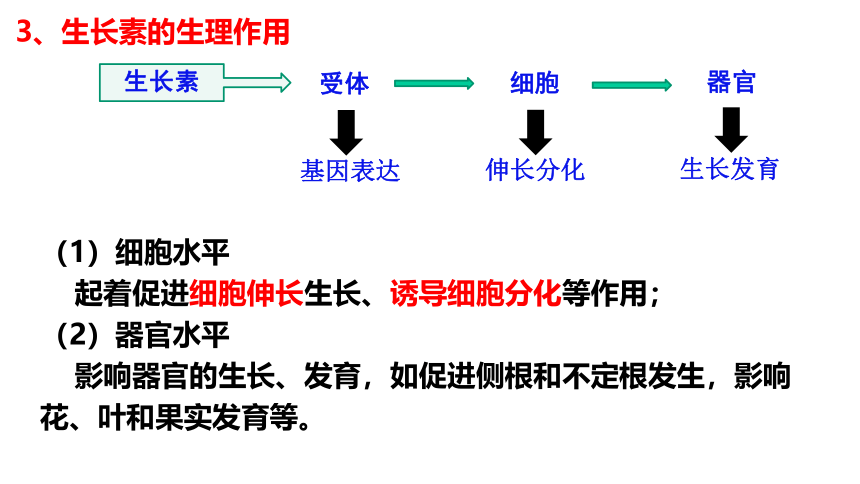 2021-2022学年高二上学期生物人教版选择性必修1-5.1 植物生长素（第二课时）课件(共20张PPT)