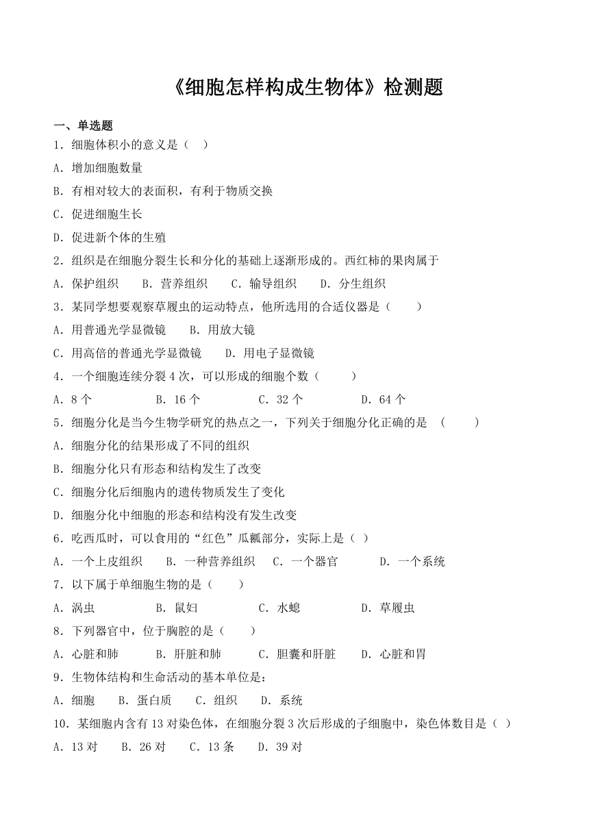 人教版七年级上册生物2.2细胞怎样构成生物体练习（word版含答案）