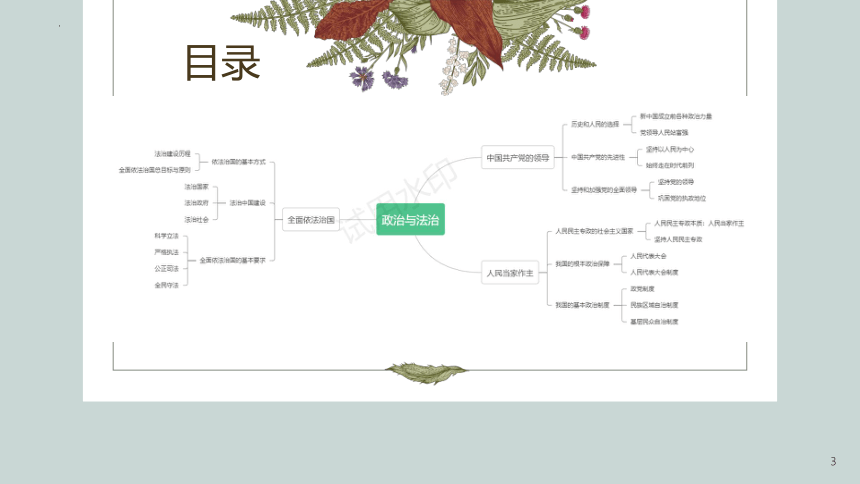 政治与法治复习策略及答题模板 课件（14张）-2024届高考政治一轮复习统编版必修三