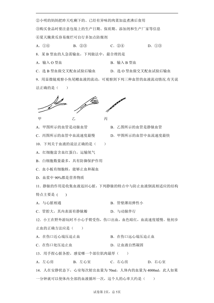 河北省石家庄市栾城区2020-2021学年七年级下学期期中生物试题（word版含解析）