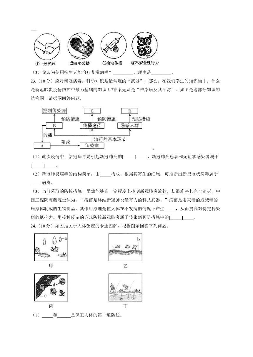 冀少版七年级下册生物单元测试AB卷 第二单元我们的身体与健康的生活：第六、七章B卷（word版含解析）