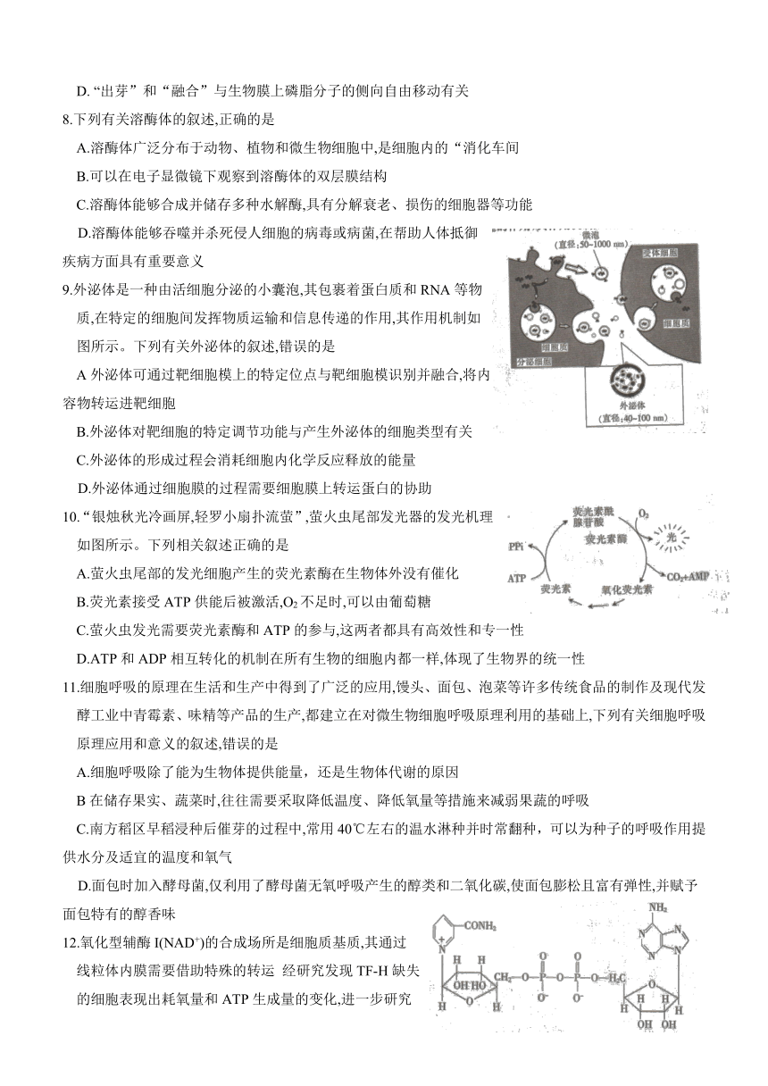 2021年山东省高一模拟选课走班调考生物（word版部分含解析）