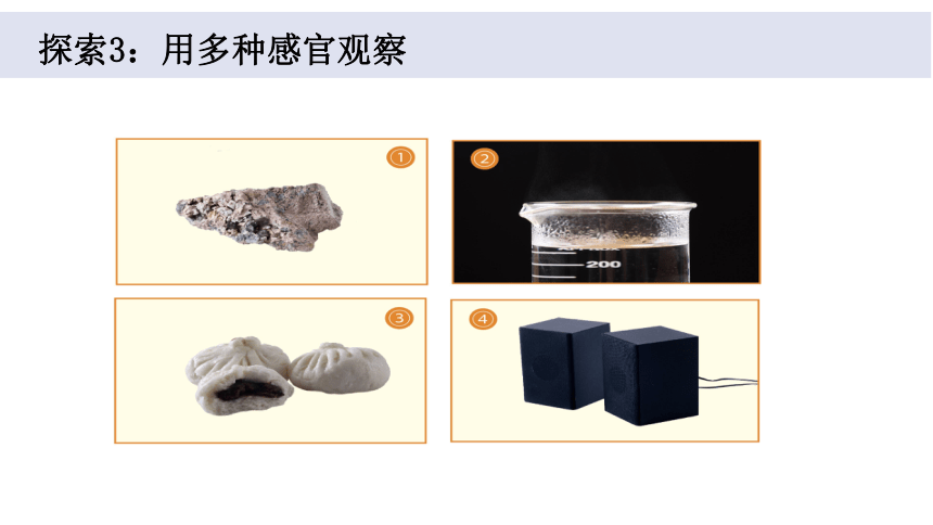 教科版二年级科学下册2-2《通过感官来发现》课件(共13张PPT)