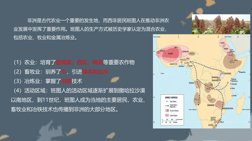 高中历史统编版必修中外历史纲要下第5课 古代非洲与美洲课件（30张PPT）