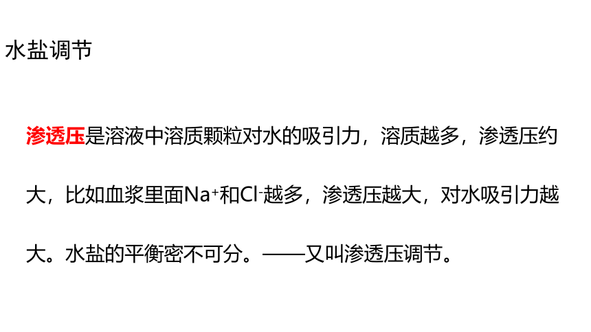 2021-2022学年高二上学期生物苏教版（2019）选择性必修1  2.3水盐平衡的调节课件(共21张PPT)