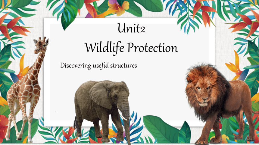 人教版（2019）必修第二册Unit 2 Wildlife protection Discovering useful structures课件(共37张PPT)