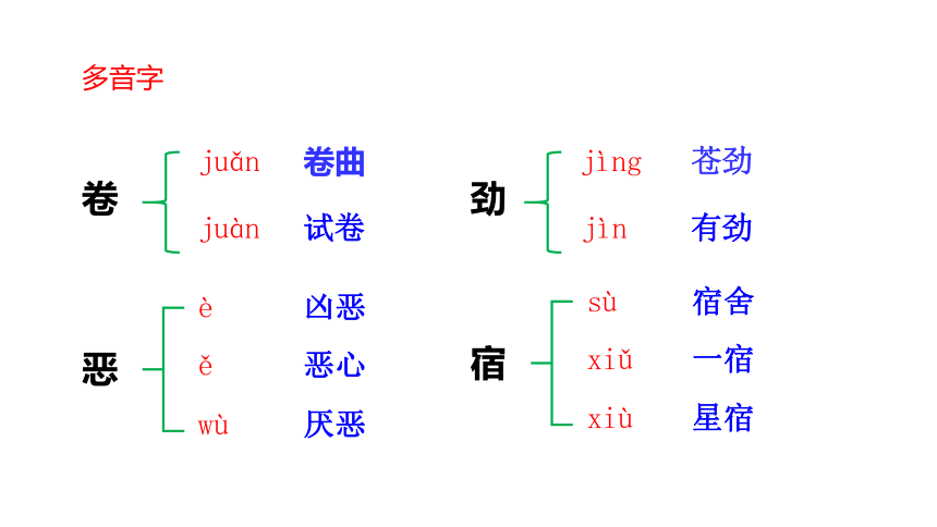 20 青山不老课件(共22张PPT)