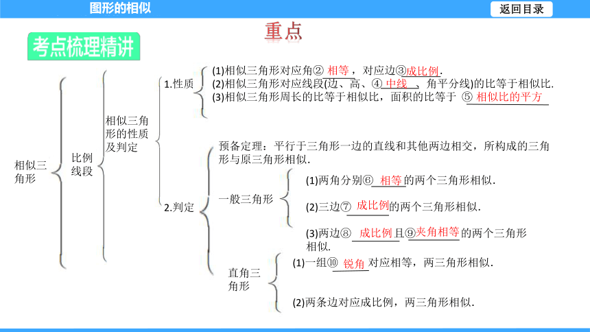 【大单元教学】鲁教版2023年八年级大单元 第九章图形的相似 课件（51张PPT）