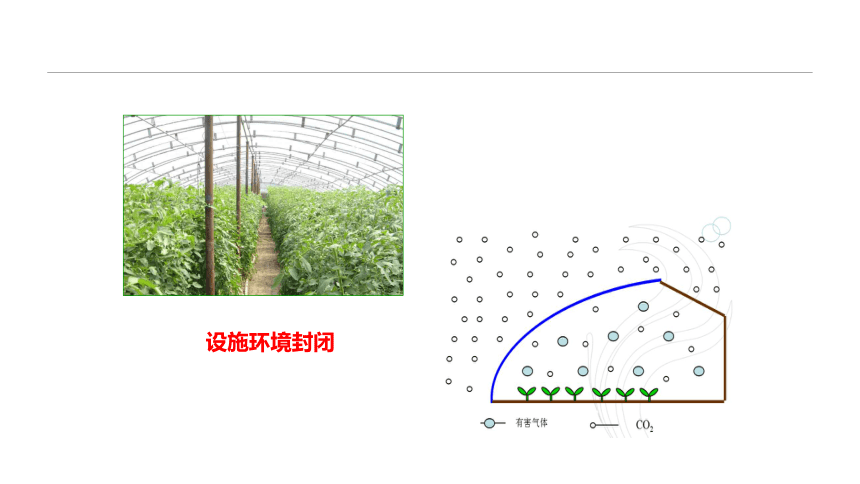 2.2.3设施环境的调控—气体特点与调控 课件(共16张PPT)-《蔬菜生产技术》同步教学（中国农业出版社）