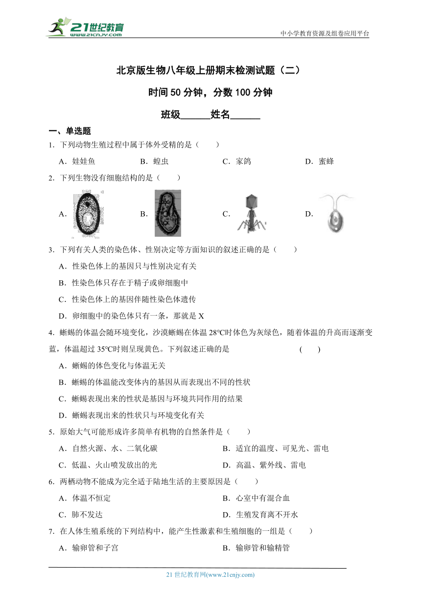 北京版生物八年级上册期末检测试题（二）（含解析）