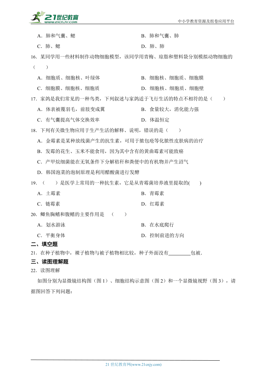 苏科版生物2023年七下期末测试题（含解析）