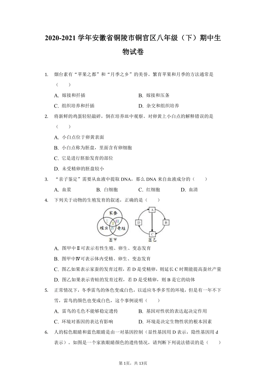 2020-2021学年安徽省铜陵市铜官区八年级（下）期中生物试卷（word版 含解析）