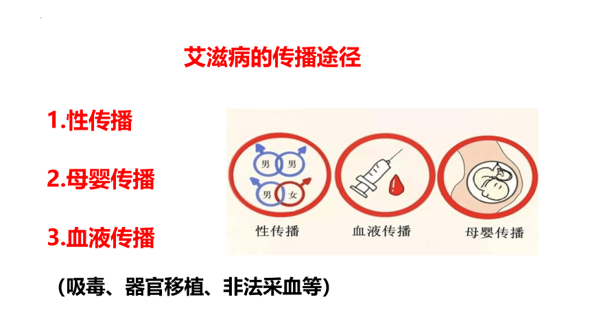 2.6.3艾滋病的发生与流行课件(共24张PPT)