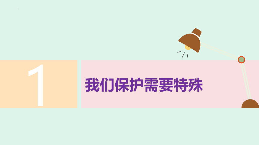 10.1法律为我们护航  课件(共27张PPT)