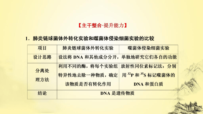 新人教生物二轮复习课件7 遗传的分子基础(课件共72张PPT)