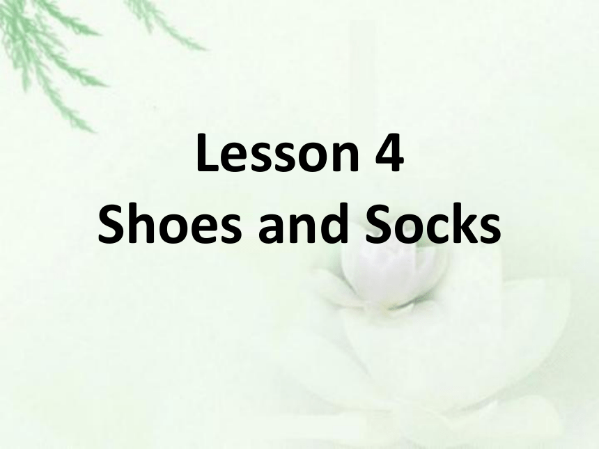 Unit1 Lesson 4 Shoes and Socks课件（22张）